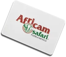 africam-safari